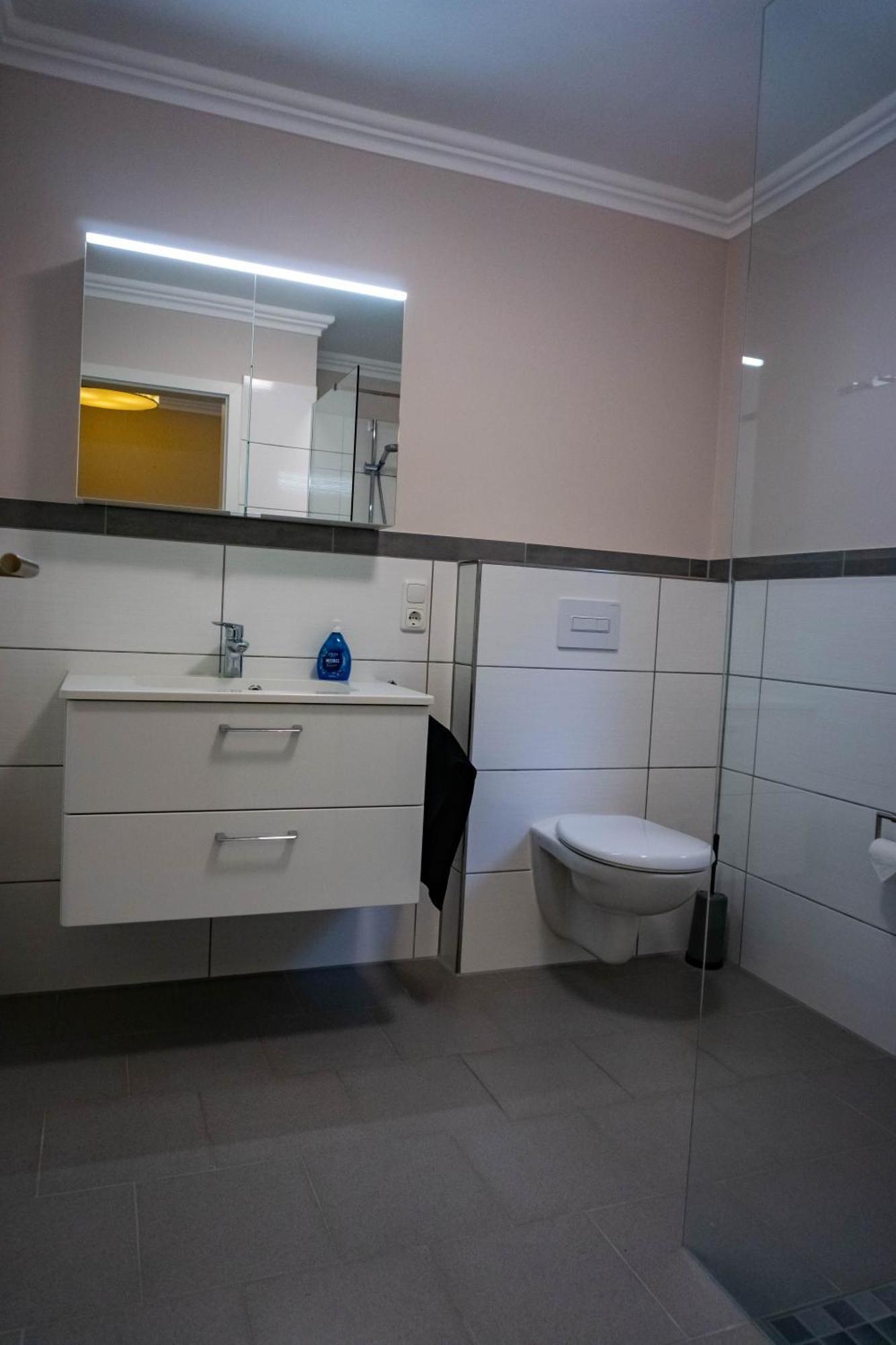 Haus Strandlust- Gemuetliches Studio Direkt Am Duemmer Apartment Lembruch Luaran gambar